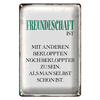 Blechschild Spruch 20x30cm Freundeschaft ist mit anderen