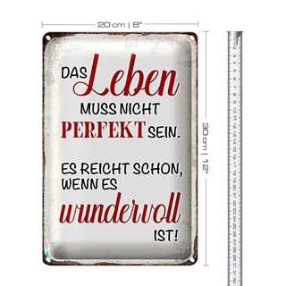 Blechschild Spruch 20x30cm Leben muss nicht perfekt sein