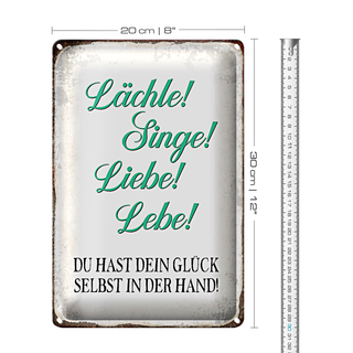 Blechschild Spruch 20x30cm Lächle Singe Liebe Lebe Glück