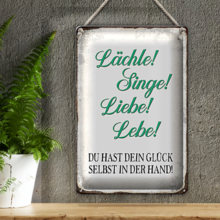 Blechschild Spruch 20x30cm Lächle Singe Liebe Lebe Glück