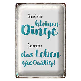 Blechschild Spruch 20x30cm genieße kleine Dinge sie machen