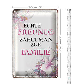Blechschild Spruch 20x30cm echte Freunde zählt zur Familie