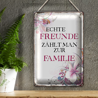 Blechschild Spruch 20x30cm echte Freunde zählt zur Familie
