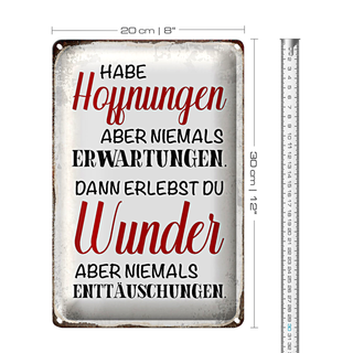 Blechschild Spruch 20x30cm habe Hoffnung Erwartungen Wunder