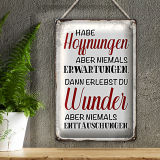 Blechschild Spruch 20x30cm habe Hoffnung Erwartungen Wunder