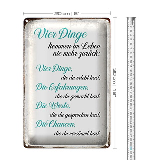 Blechschild Spruch 20x30cm 4 Dinge kommen nie mehr zurück