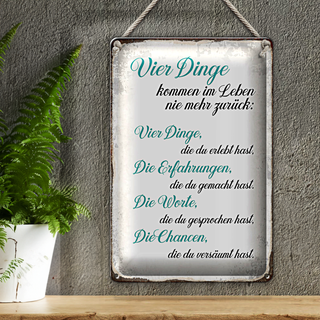 Blechschild Spruch 20x30cm 4 Dinge kommen nie mehr zurück