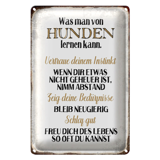 Blechschild Spruch 20x30cm was man von Hunden lernen kann