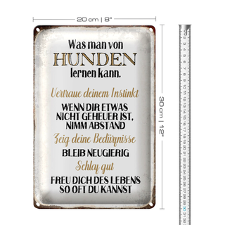 Blechschild Spruch 20x30cm was man von Hunden lernen kann