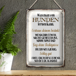 Blechschild Spruch 20x30cm was man von Hunden lernen kann