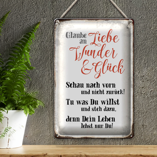 Blechschild Spruch 20x30cm glaube an Liebe Wunder Glück