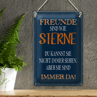 Blechschild Spruch 20x30cm Freunde sind wie Sterne immer da