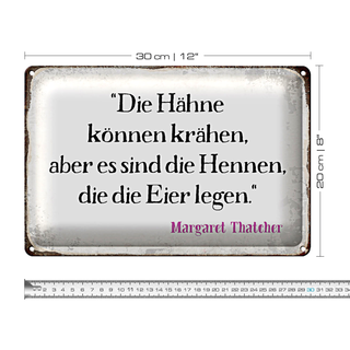 Blechschild Spruch 30x20cm Hähne können krähen aber es sind
