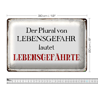 Blechschild Spruch 30x20cm plural von Lebensgefahr lautet