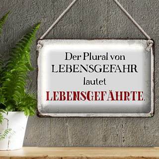 Blechschild Spruch 30x20cm plural von Lebensgefahr lautet