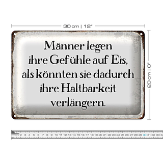 Blechschild Spruch 30x20cm Männer legen Gefühle auf Eis