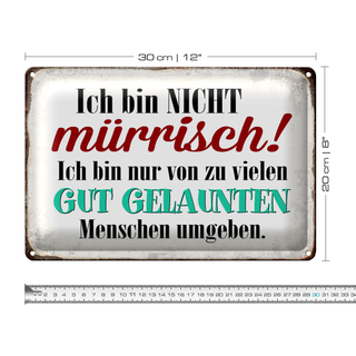 Blechschild Spruch 30x20cm ich bin nicht mürrisch bin nur
