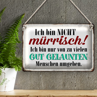 Blechschild Spruch 30x20cm ich bin nicht mürrisch bin nur