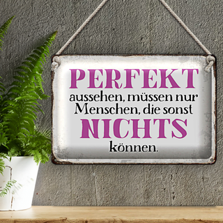 Blechschild Spruch 30x20cm perfekt aussehen nichts können
