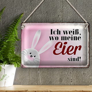 Blechschild Spruch 30x20cm Osterhase weiß wo Eier sind