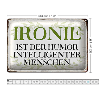 Blechschild Spruch 30x20cm Ironie Humor intelligent