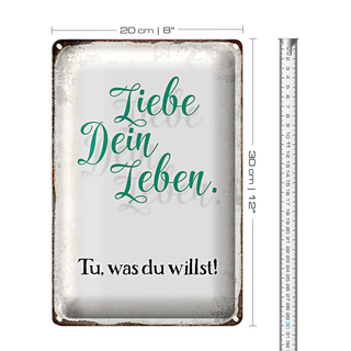 Blechschild Spruch 20x30cm liebe dein Leben tue was willst