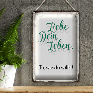 Blechschild Spruch 20x30cm liebe dein Leben tue was willst
