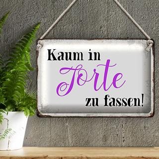 Blechschild Spruch 30x20cm kaum in Torte zu fassen