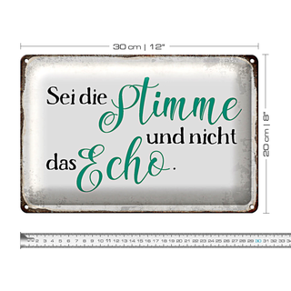 Blechschild Spruch 30x20cm sei die Stimme nicht das Echo