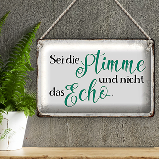 Blechschild Spruch 30x20cm sei die Stimme nicht das Echo