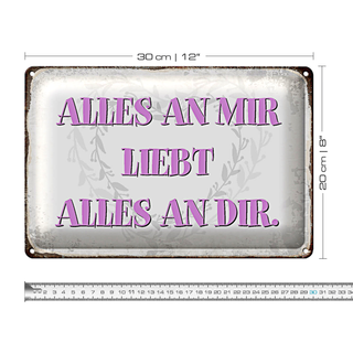 Blechschild Spruch 30x20cm alles an mir liebt alles an dir