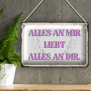 Blechschild Spruch 30x20cm alles an mir liebt alles an dir