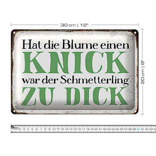Blechschild Spruch 30x20cm Blume Knick Schmetterling dick