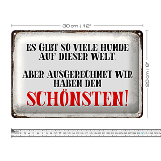Blechschild Spruch 30x20cm wir haben den schönsten Hund