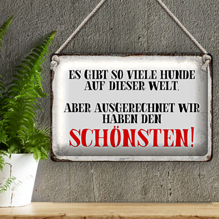Blechschild Spruch 30x20cm wir haben den schönsten Hund