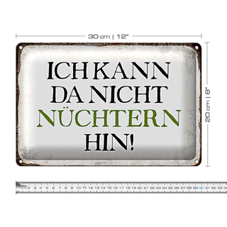 Blechschild Spruch 30x20cm ich kann da nicht nüchtern hin