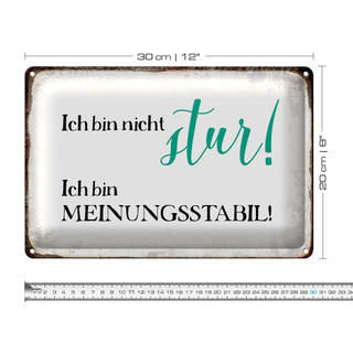 Blechschild Spruch 30x20cm bin nicht stur meinungsstabil