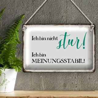 Blechschild Spruch 30x20cm bin nicht stur meinungsstabil