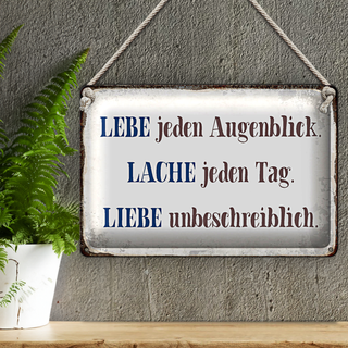 Blechschild Spruch 30x20cm liebe lache jeden Tag