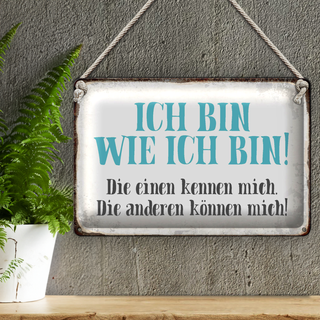 Blechschild Spruch 30x20cm ich bin so wie ich bin