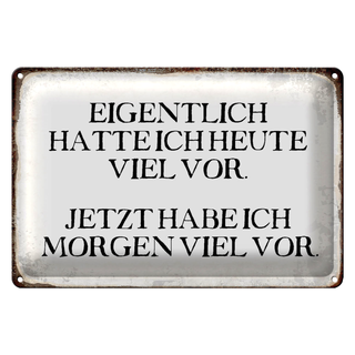 Blechschild Spruch 30x20cm eigentlich hatte heute viel vor