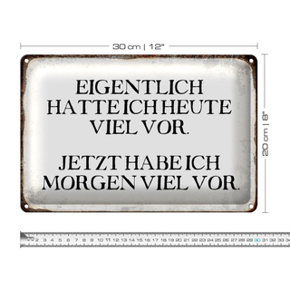 Blechschild Spruch 30x20cm eigentlich hatte heute viel vor