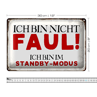 Blechschild Spruch 30x20cm bin nicht faul im standby Modus