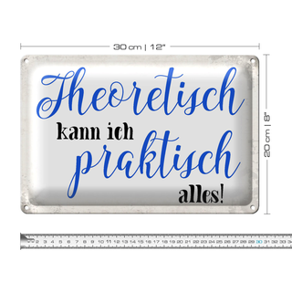 Blechschild Spruch 30x20cm theoretisch kann praktisch alles