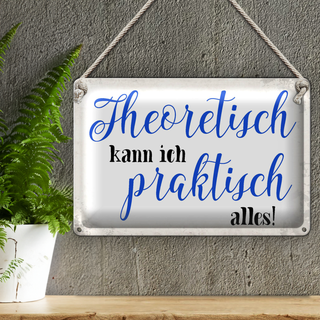 Blechschild Spruch 30x20cm theoretisch kann praktisch alles