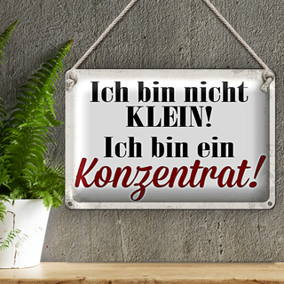 Blechschild Spruch 30x20cm bin nicht klein bin Konzentrat