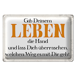 Blechschild Spruch 30x20cm gib deinem Leben die Hand