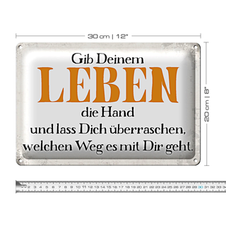 Blechschild Spruch 30x20cm gib deinem Leben die Hand