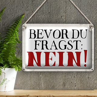 Blechschild Spruch 30x20cm bevor du fragst Nein