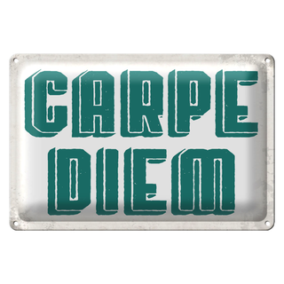 Blechschild Spruch 30x20cm carpe diem nutze dein Tag